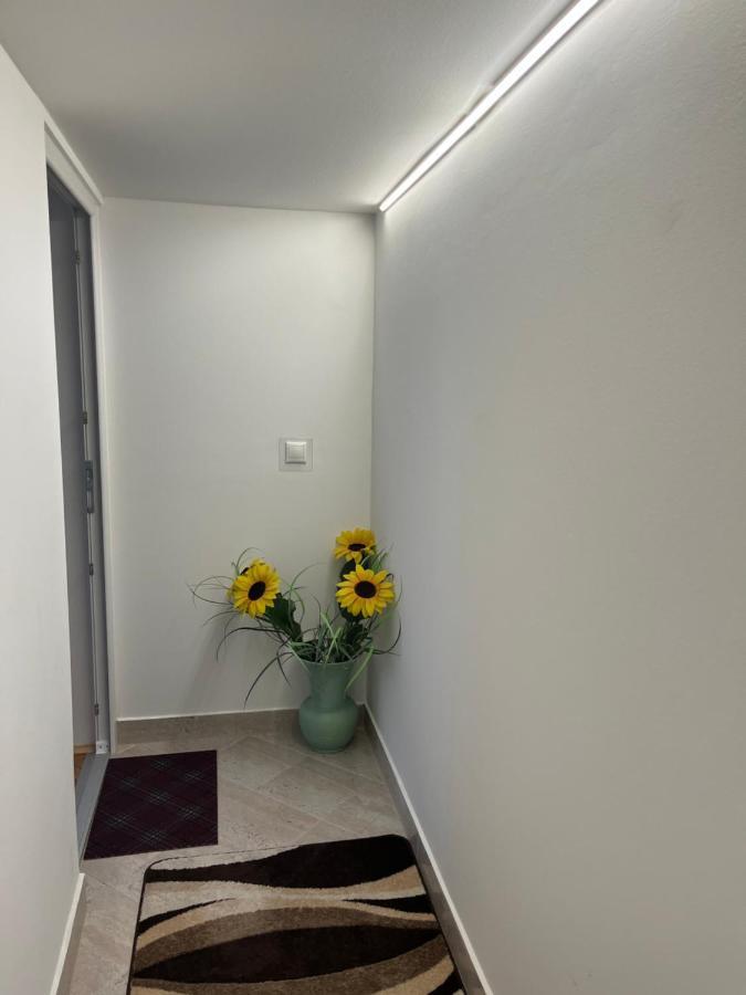Vito Apartman เอ็กเกอร์ ภายนอก รูปภาพ
